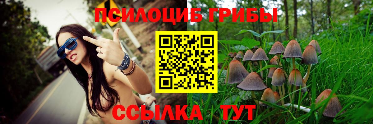 Псилоцибиновые грибы Psilocybine cubensis Астрахань